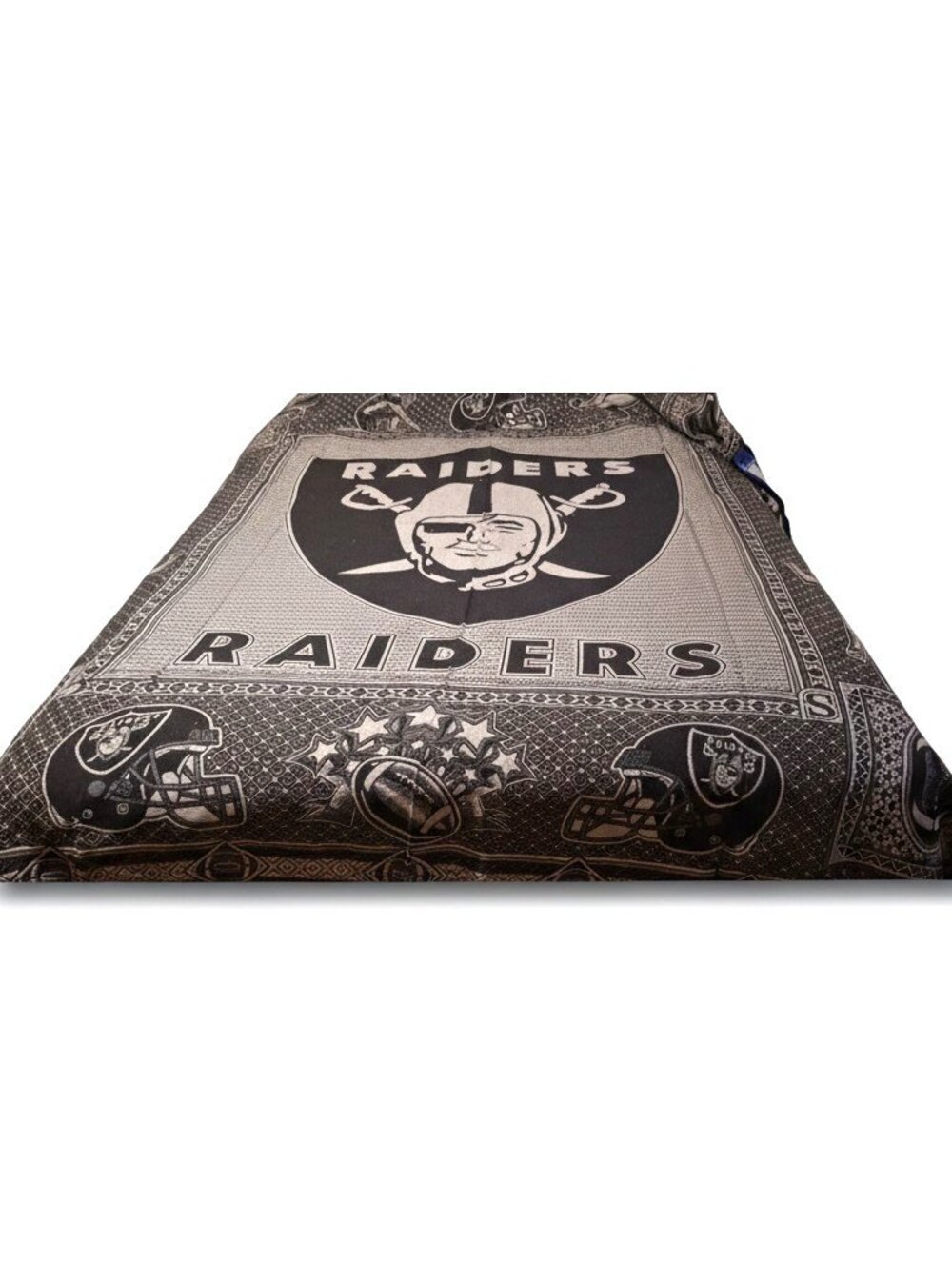 Lets Go Raider Fans! - Picture 4 of 5